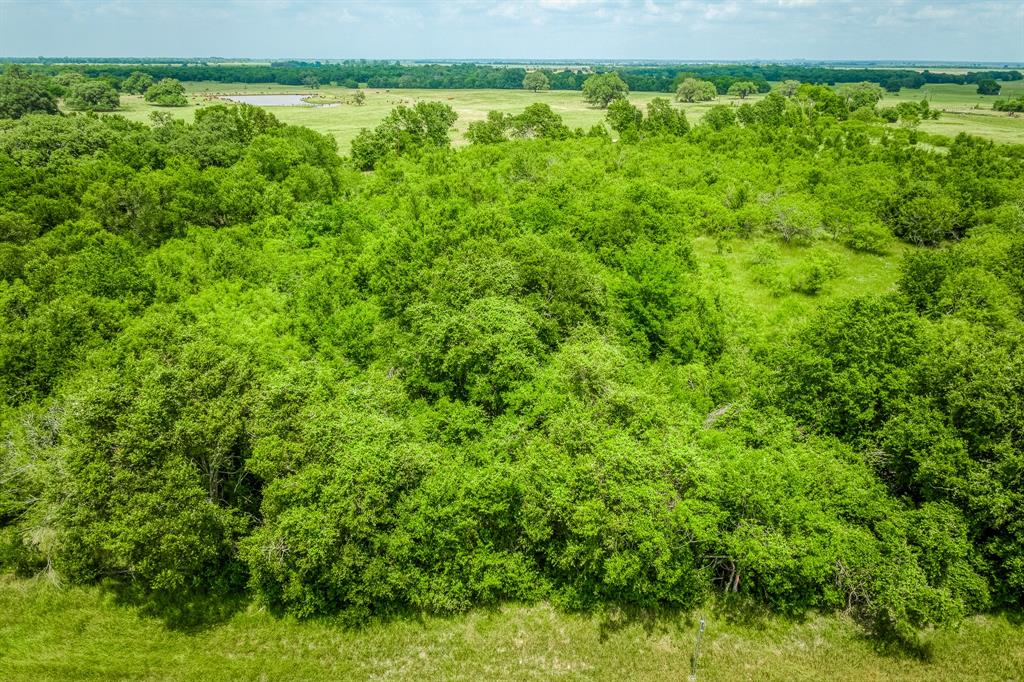 10366 County Road 276, Somerville, Texas image 3