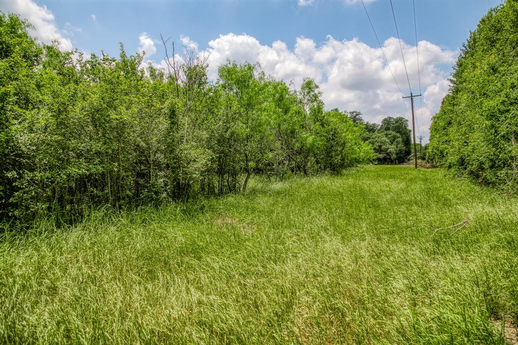 10366 County Road 276, Somerville, Texas image 2