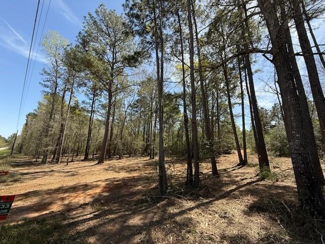 9724 Renfaire Drive, Plantersville, Texas image 1