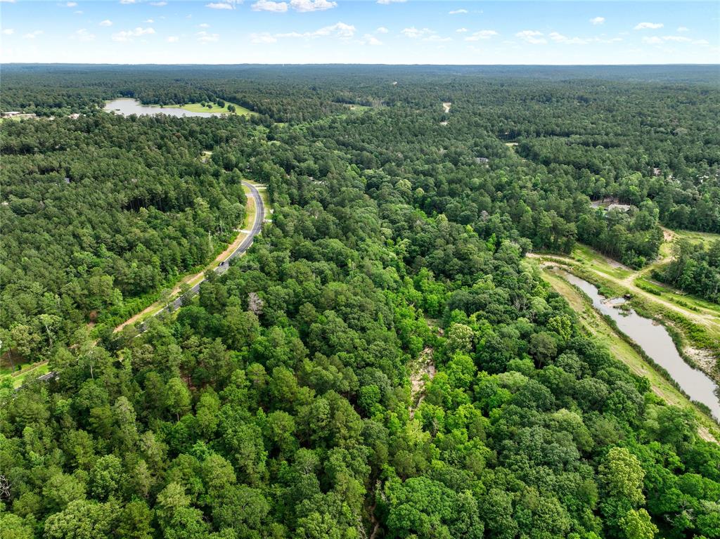 306 Sundog Road, Huntsville, Texas image 2