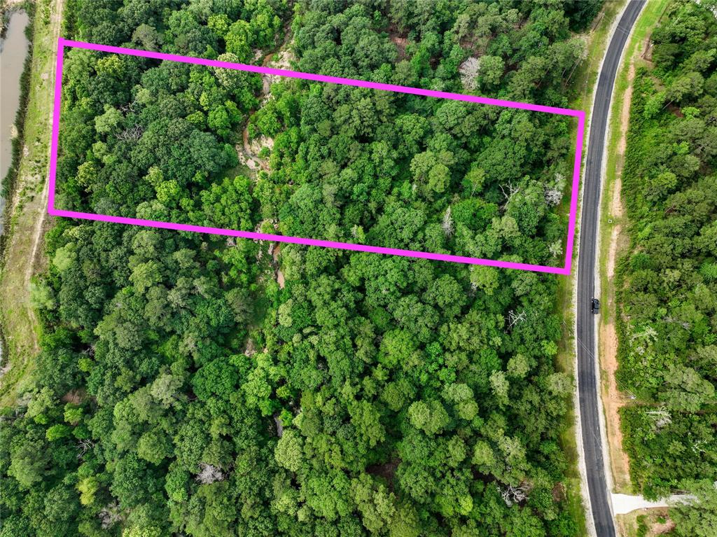 306 Sundog Road, Huntsville, Texas image 1