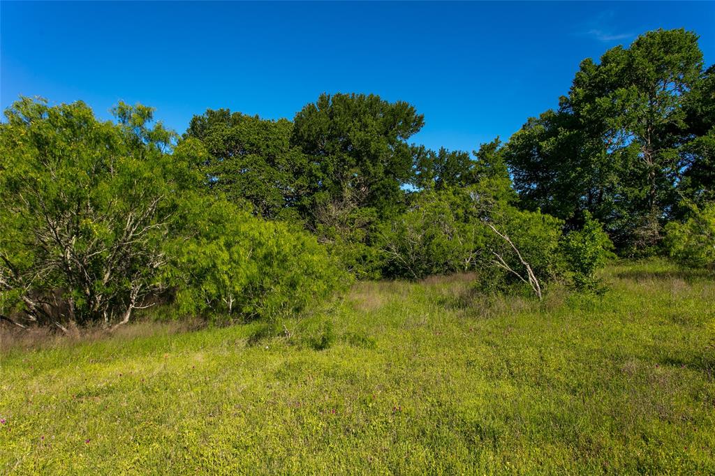 Lot 10 Brazos Court, Caldwell, Texas image 3