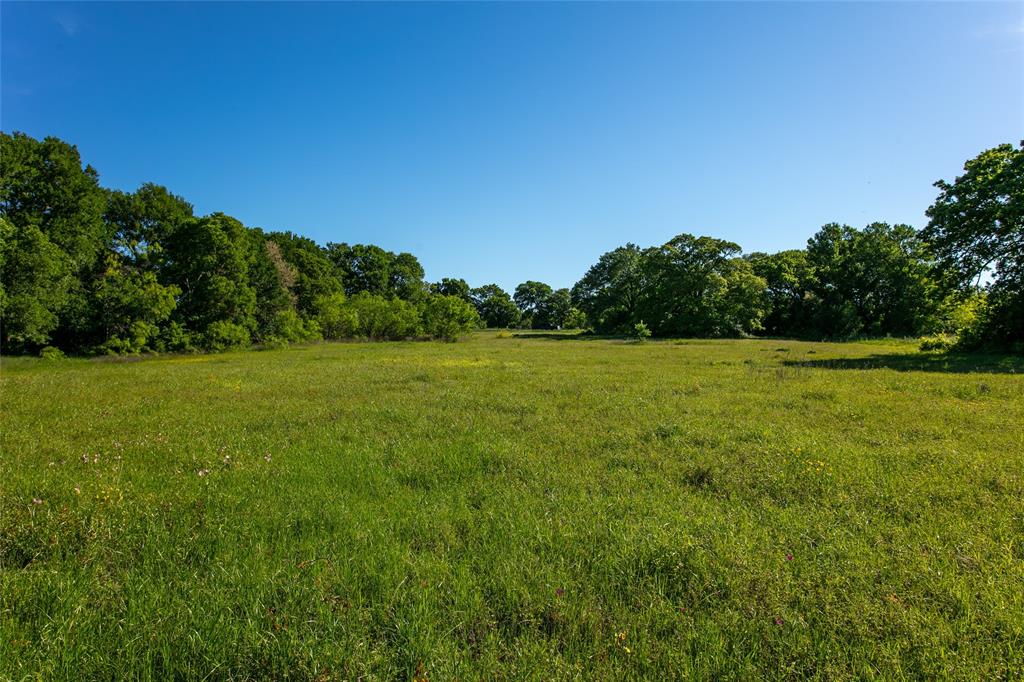 Lot 10 Brazos Court, Caldwell, Texas image 4