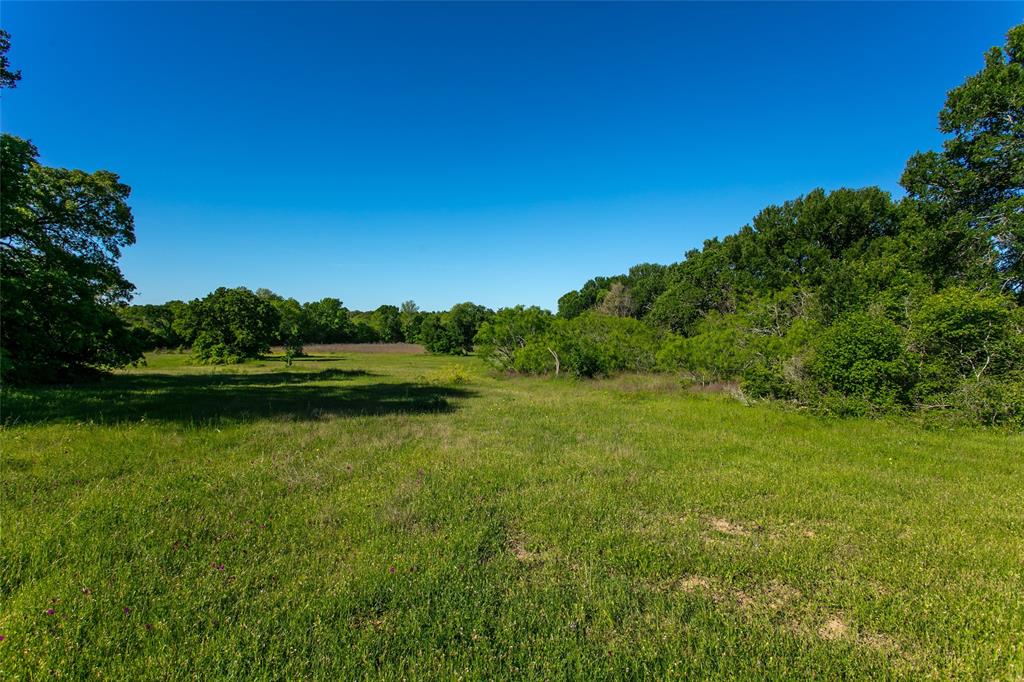 Lot 10 Brazos Court, Caldwell, Texas image 1