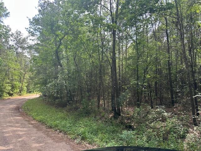502 Hall Road, Oakhurst, Texas image 3