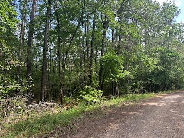 502 Hall Road, Oakhurst, Texas image 2