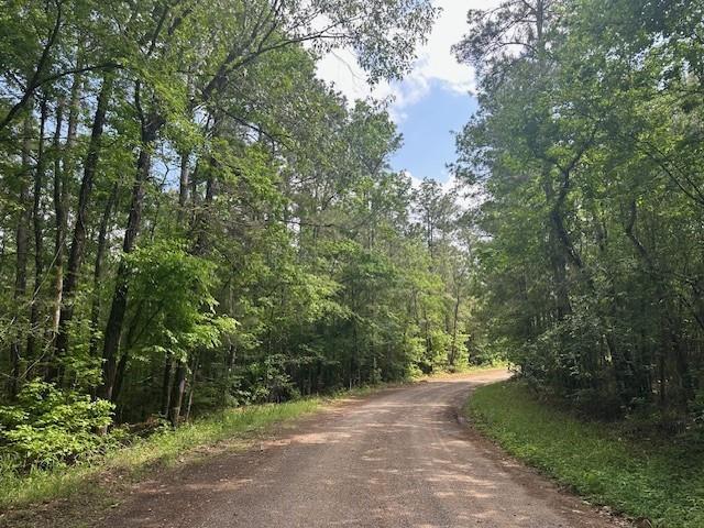 502 Hall Road, Oakhurst, Texas image 4