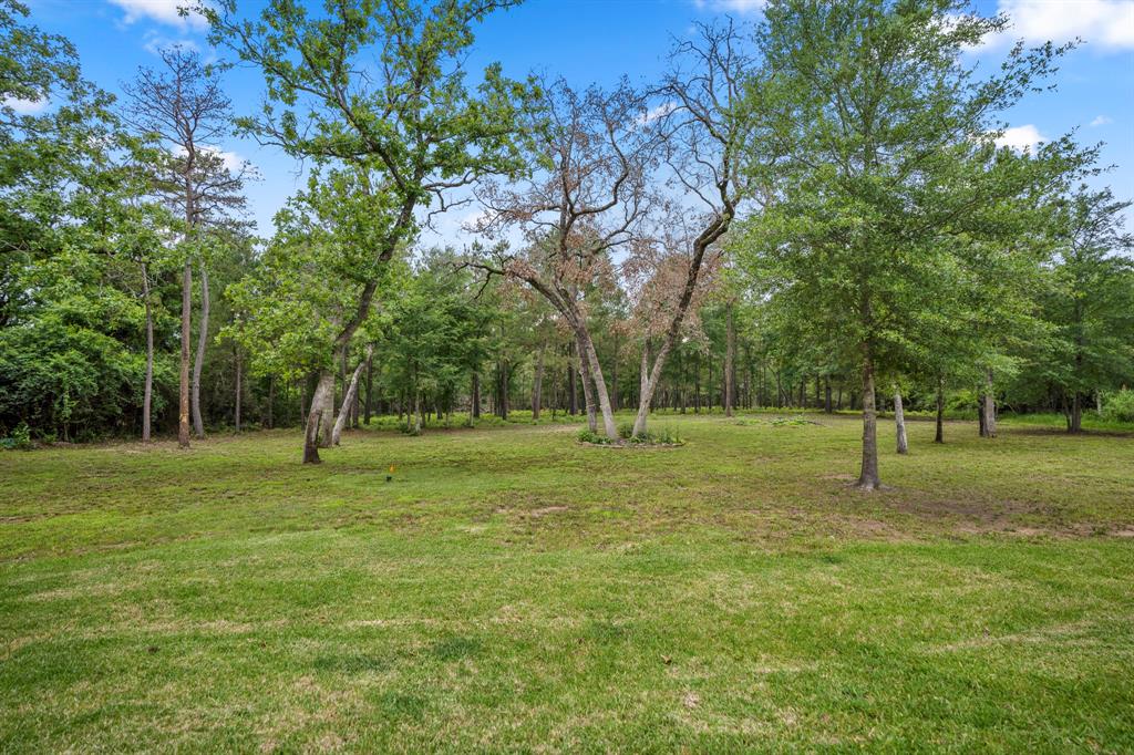 87 Cedar Ridge Rdg, Huntsville, Texas image 49