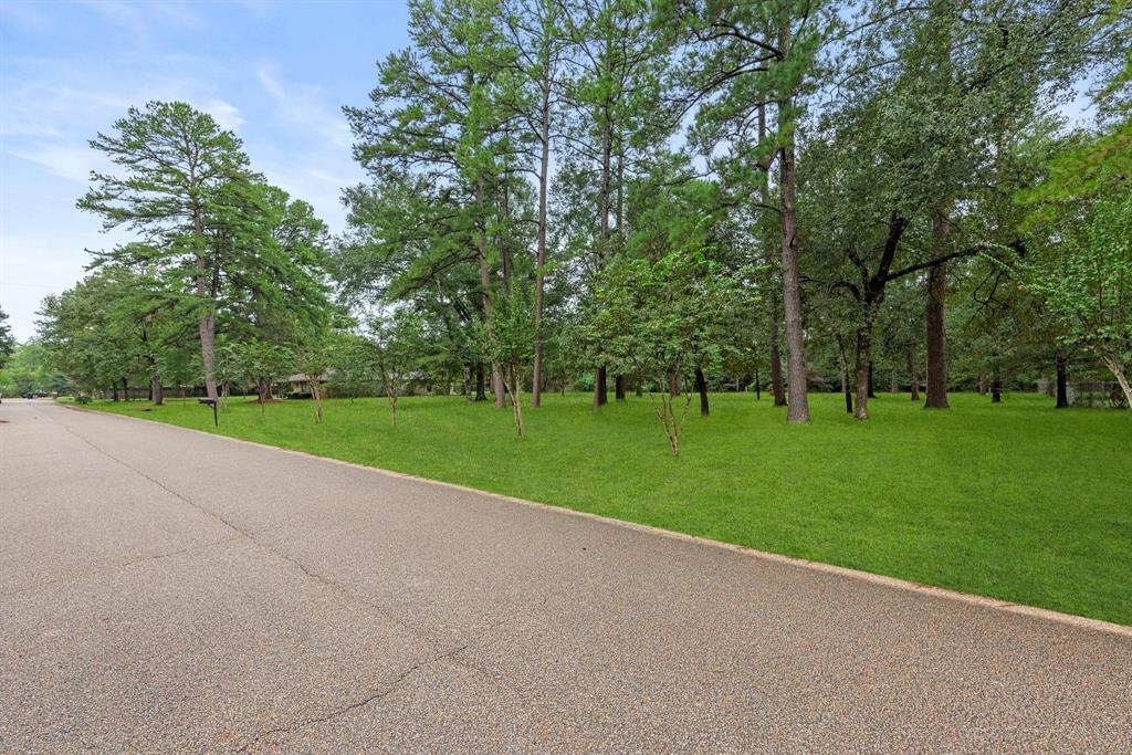 Meadow Wood Dr Drive, Magnolia, Texas image 1