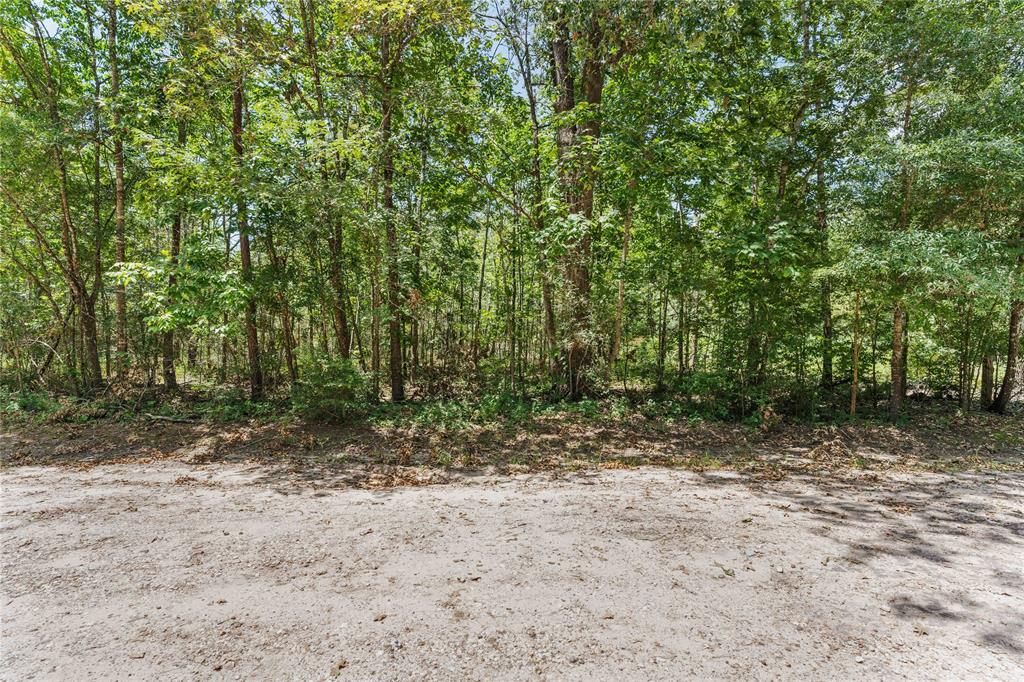 0 Still Forest Circle