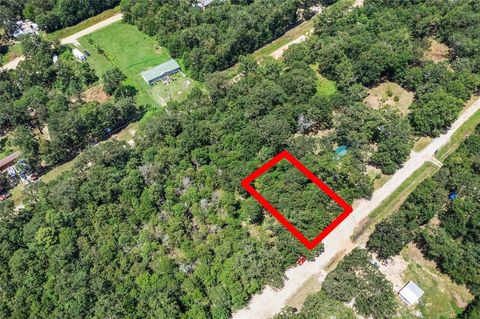 Photo of 0 Still Forest Circle, Livingston, TX 77351 (MLS # 50421520)