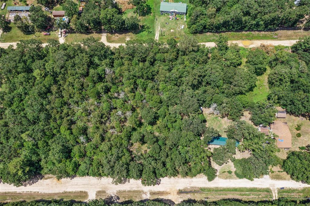 0 Still Forest Circle