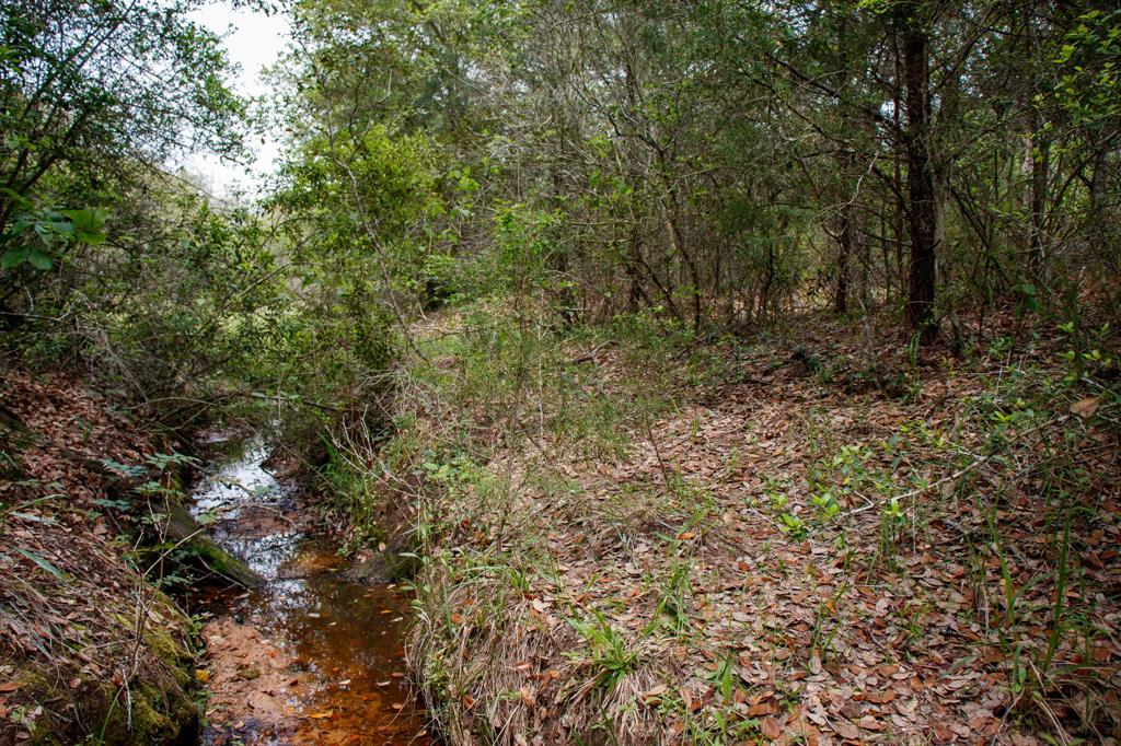 Hickory Place, Weimar, Texas image 3