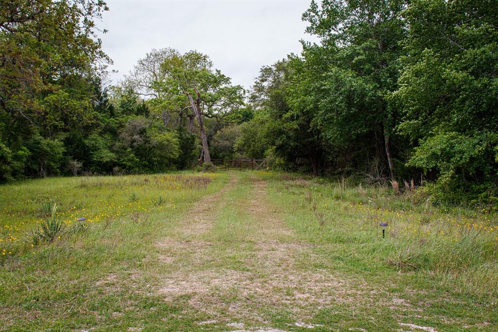 Hickory Place, Weimar, Texas image 5