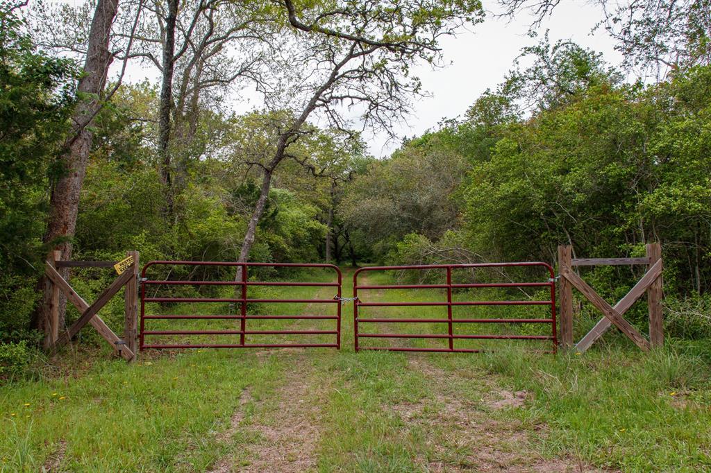 Hickory Place, Weimar, Texas image 2