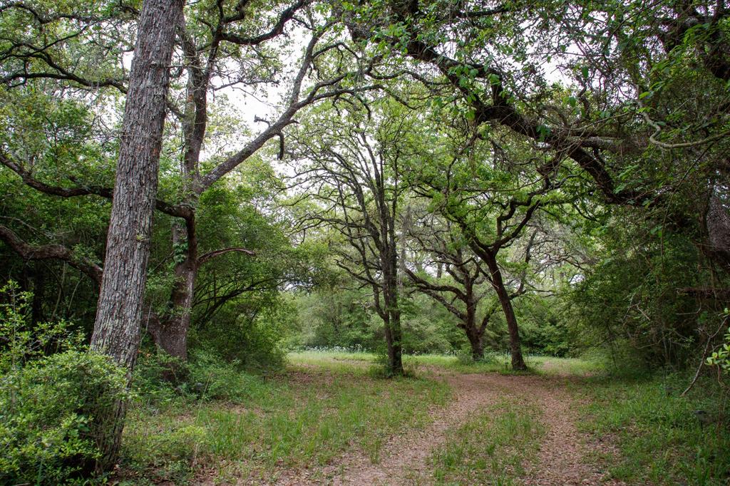 Hickory Place, Weimar, Texas image 6