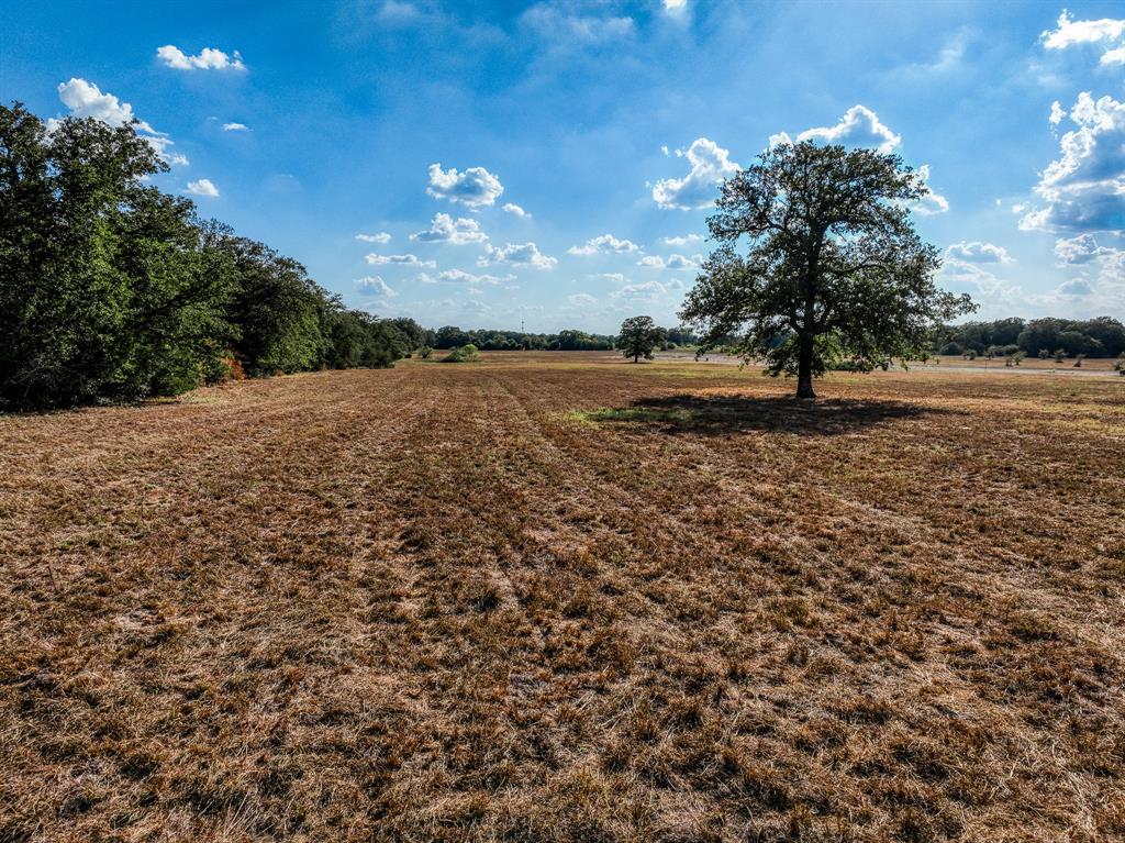 211 Feder Way, West Point, Texas image 9