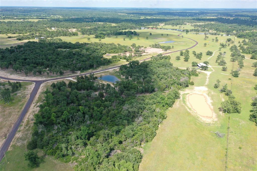 Lot 21 Pr 4173, Marquez, Texas image 13