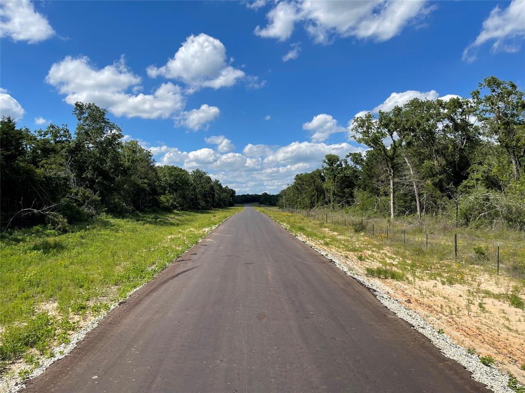 Lot 21 PR 4173