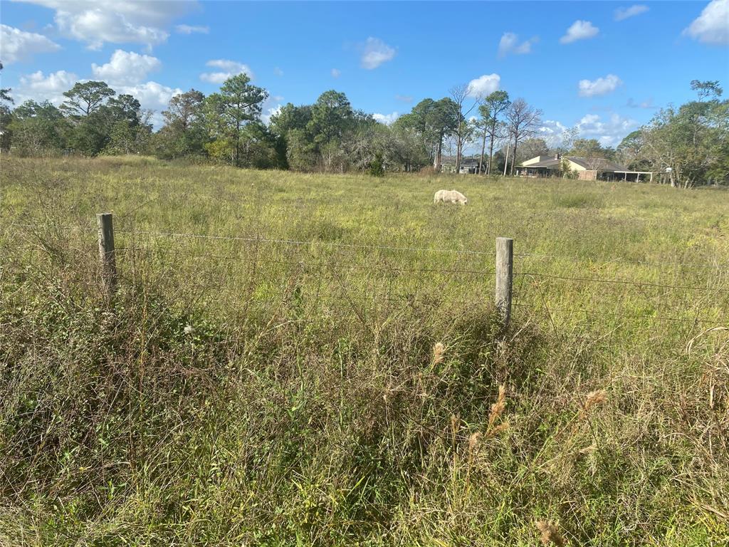 000 Ghinaudo Road, Hitchcock, Texas image 7