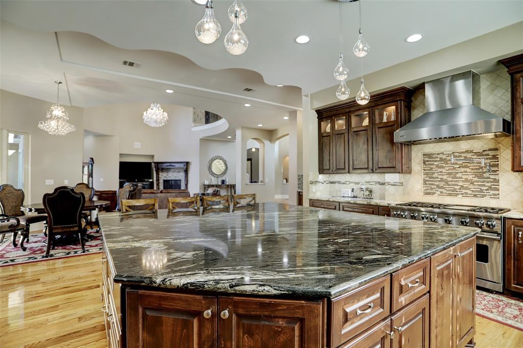 9256 Larston Street, Houston, Texas image 10