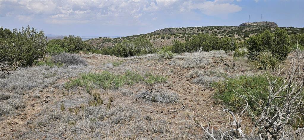 Dark Sky Ln, Alpine, Texas image 9