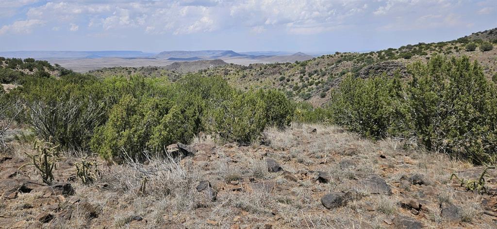 Dark Sky Ln, Alpine, Texas image 5