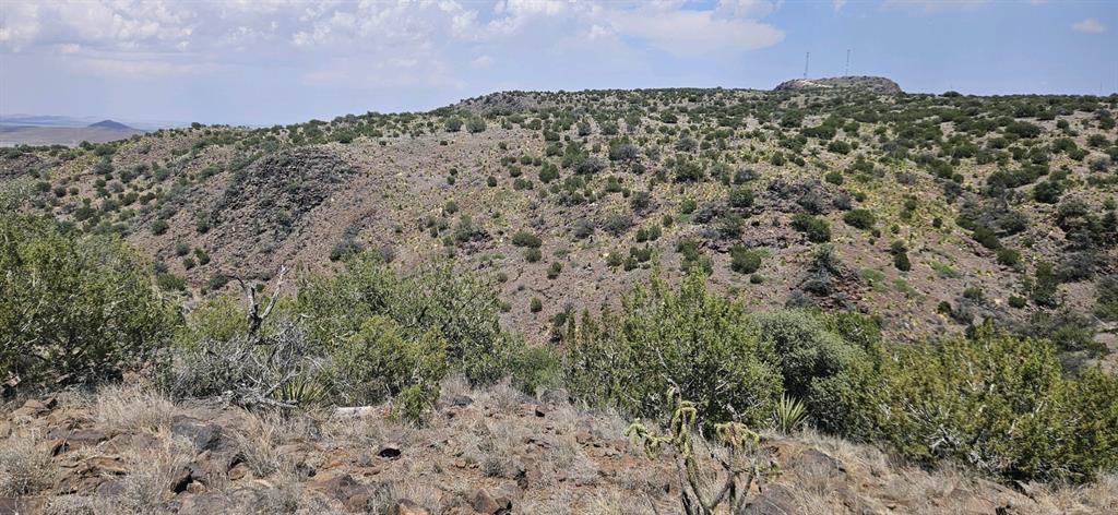 Dark Sky Ln, Alpine, Texas image 4