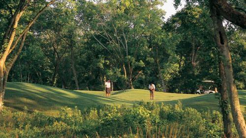 9015 Serenity Forest, Missouri City, Texas image 8