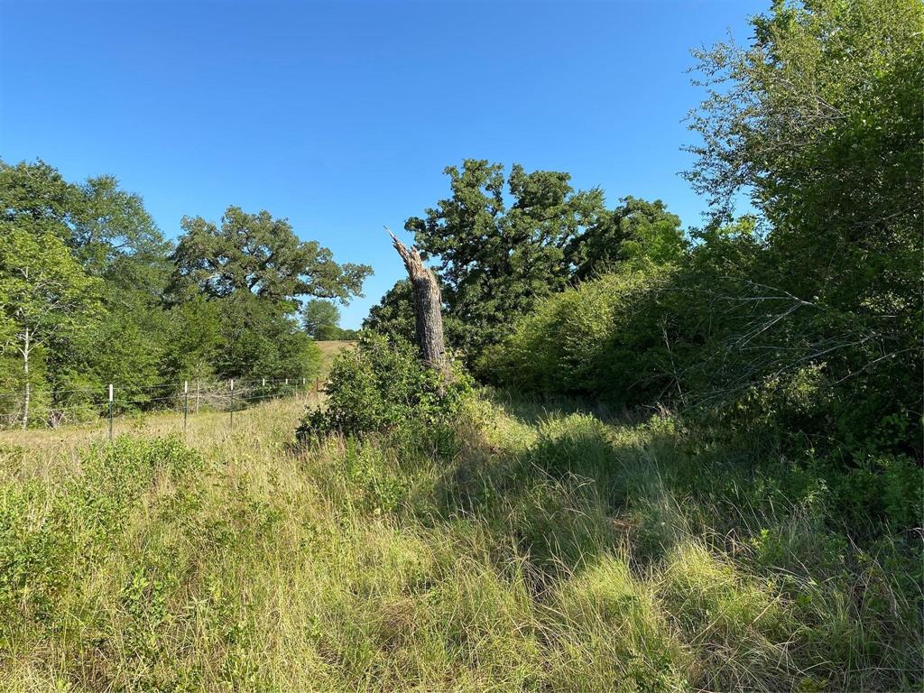 County Road 185, Anderson, Texas image 10