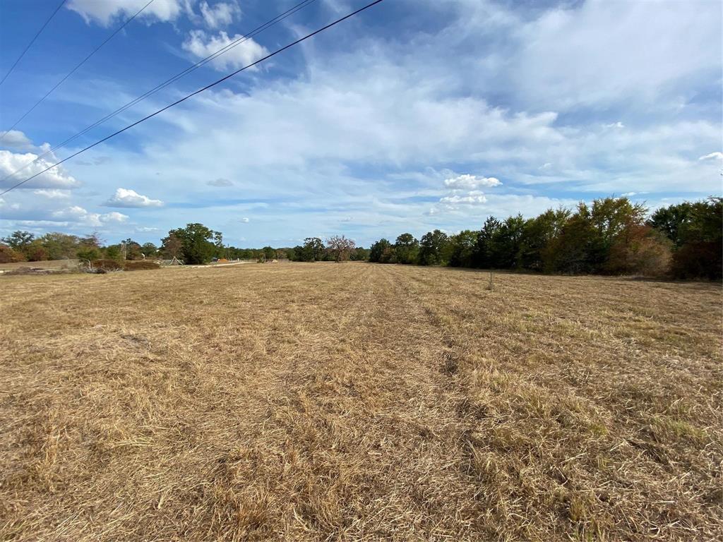 County Road 185, Anderson, Texas image 7