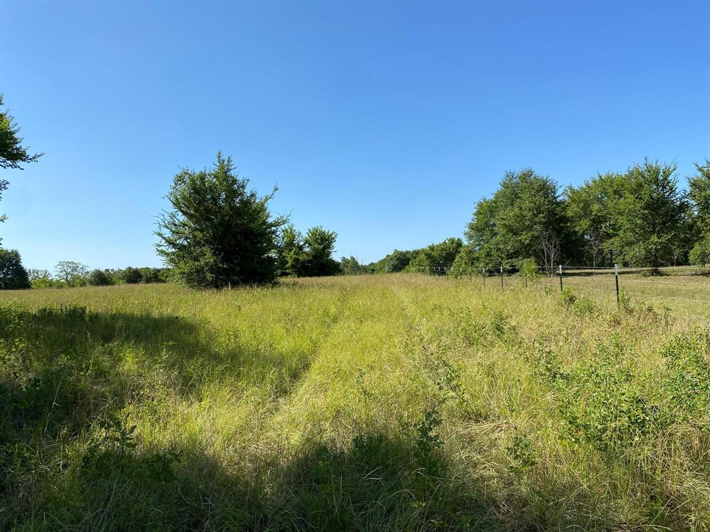 County Road 185, Anderson, Texas image 9