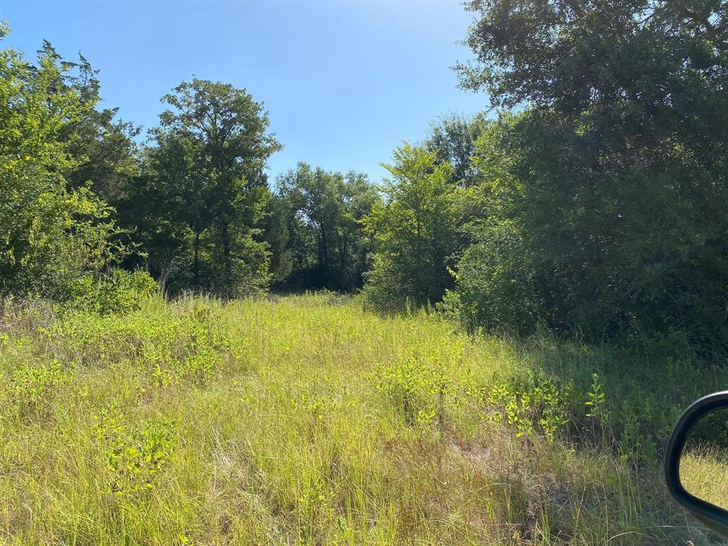 County Road 185, Anderson, Texas image 8