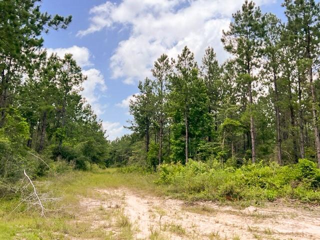 00 County Road 1425, Warren, Texas image 12