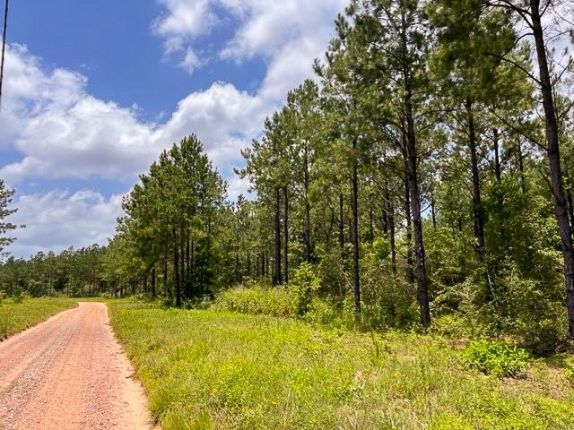 00 County Road 1425, Warren, Texas image 6