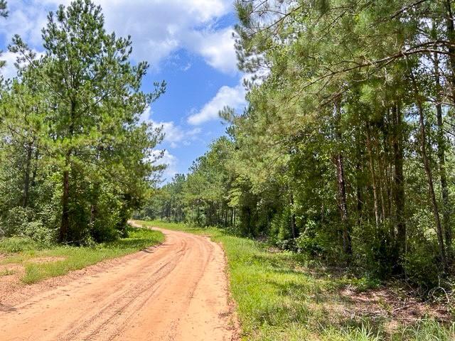 00 County Road 1425, Warren, Texas image 4