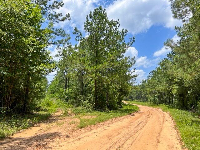 00 County Road 1425, Warren, Texas image 5