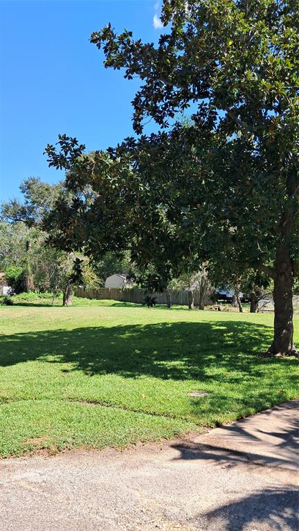 Bland Street, Pasadena, Texas image 3