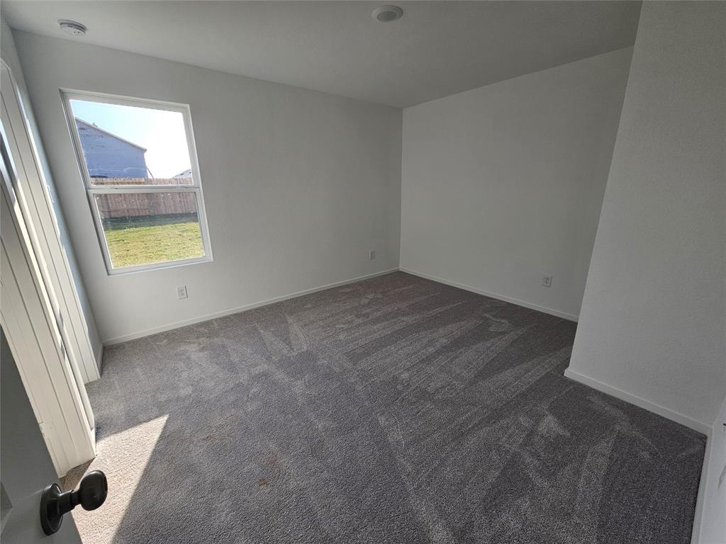 26910 Zebra Grass Drive, Katy, Texas image 7