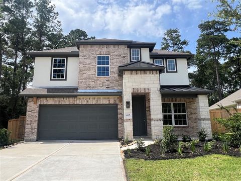 224 Warbler Song Drive Willis TX 77318