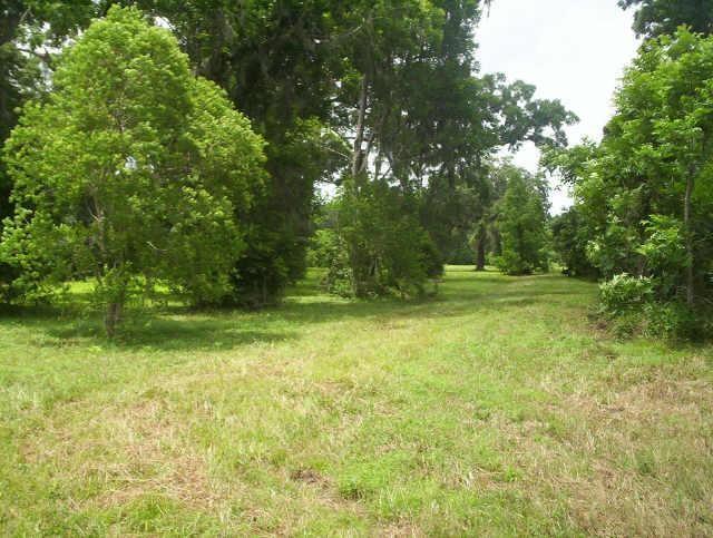 Colony Lane, Angleton, Texas image 1