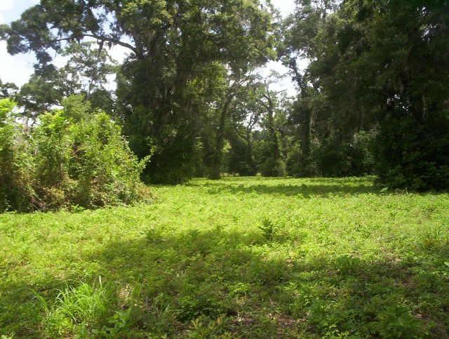 Colony Lane, Angleton, Texas image 3