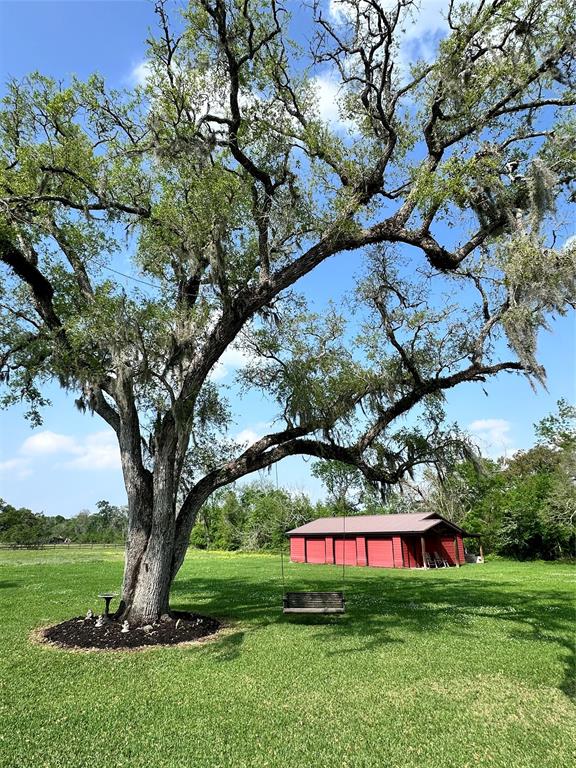 105 Country Road/cr 609a Rd #C609A, Angleton, Texas image 2