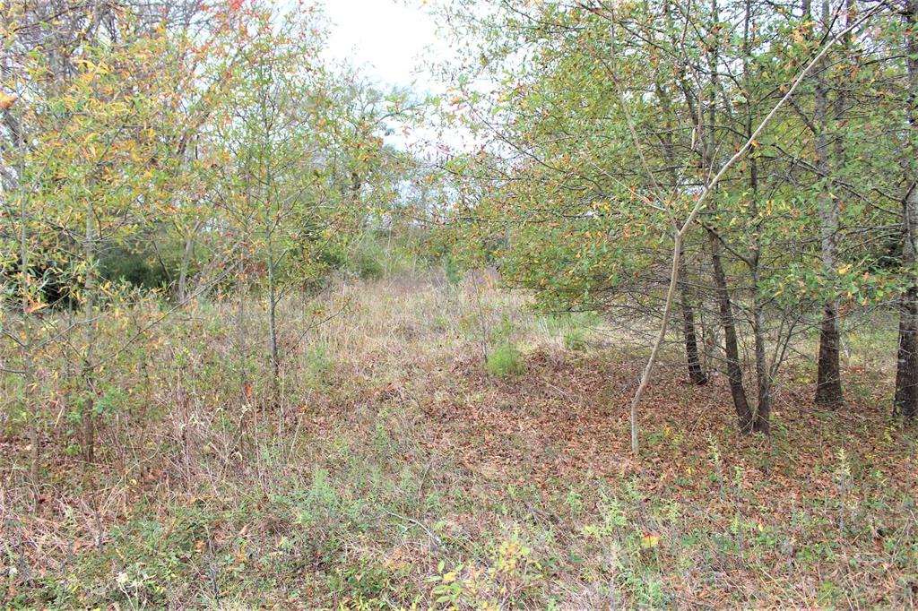 000 S State Highway 19, Crockett, Texas image 8