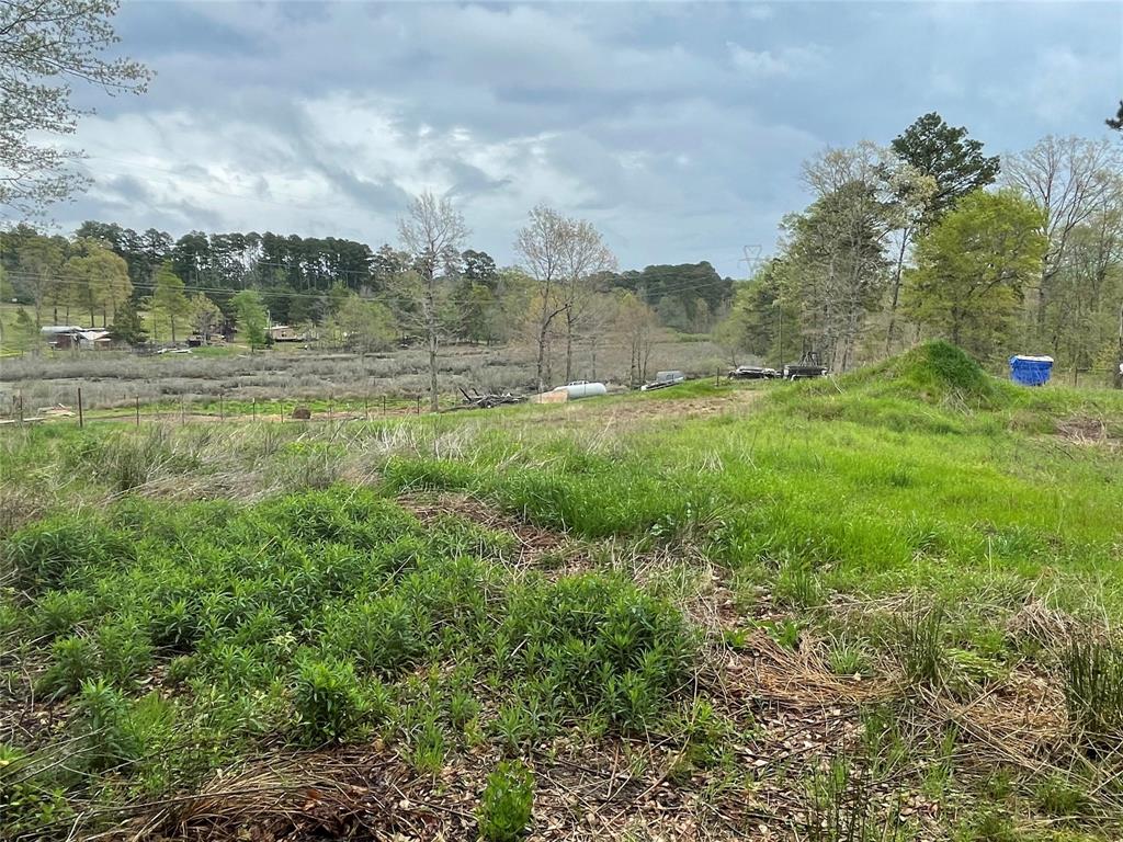 406 W Liberty Road, Harleton, Texas image 34