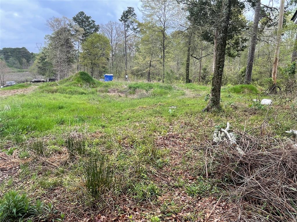 406 W Liberty Road, Harleton, Texas image 33