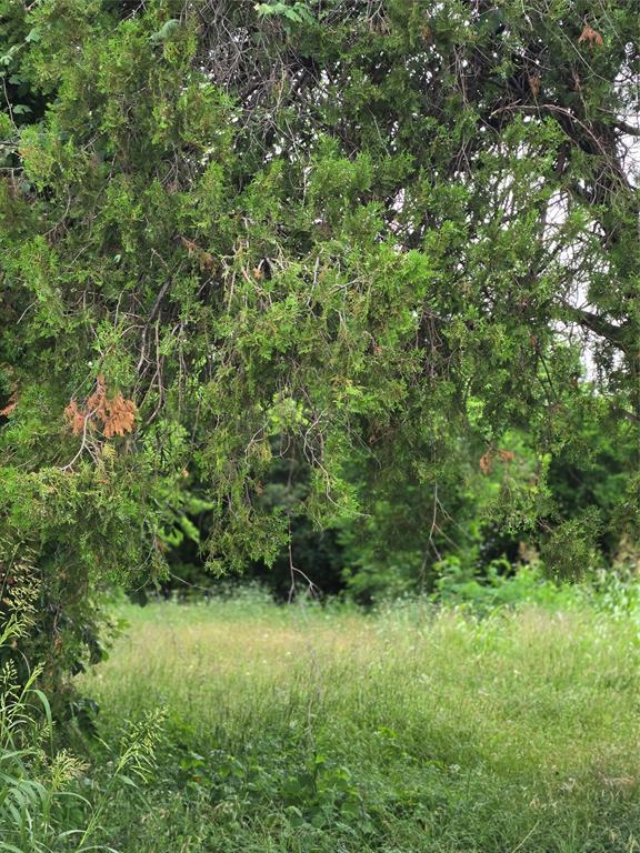 2319 Bringhurst Street, Houston, Texas image 1