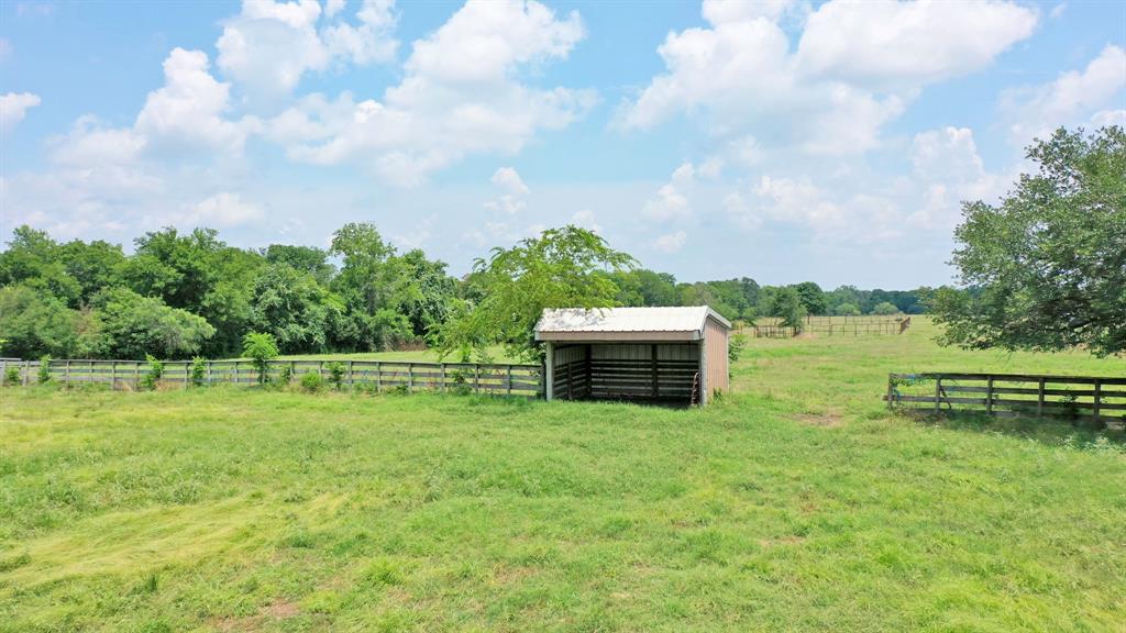 TBD 56 Acres Fm 3060, Midway, Texas image 14