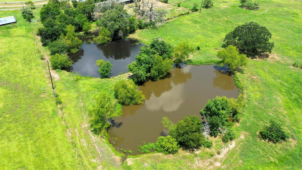 TBD 56 Acres Fm 3060, Midway, Texas image 18