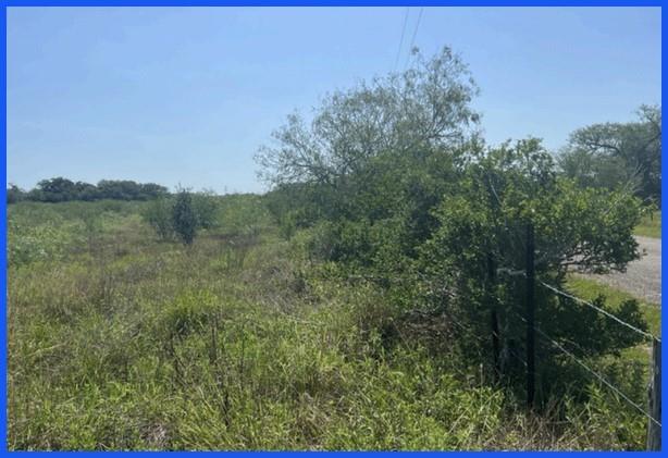 TR 13 Private Road, Refugio, Texas image 3